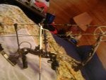 Bows 0411.jpg