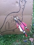 turkey20yrds.jpg