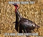 turkey.jpg
