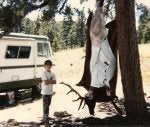 scan0018.jpg