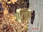 Deer pee 008.jpg