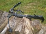 d2-50.jpg