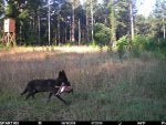 IMG_EC8010C699E6-1.jpeg