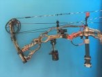 Compound bow Bow and arrow Bow