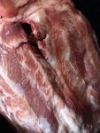 ribs.jpg