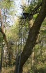 Deerstandnewplace1.JPG