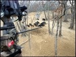 hunt106.jpg