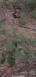 IMG_0735.png